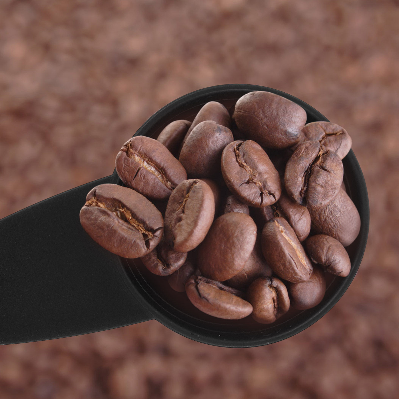 5-teiliges Messlöffel-Set mit  – Coffee Tea And Bean Bewertung und Preis