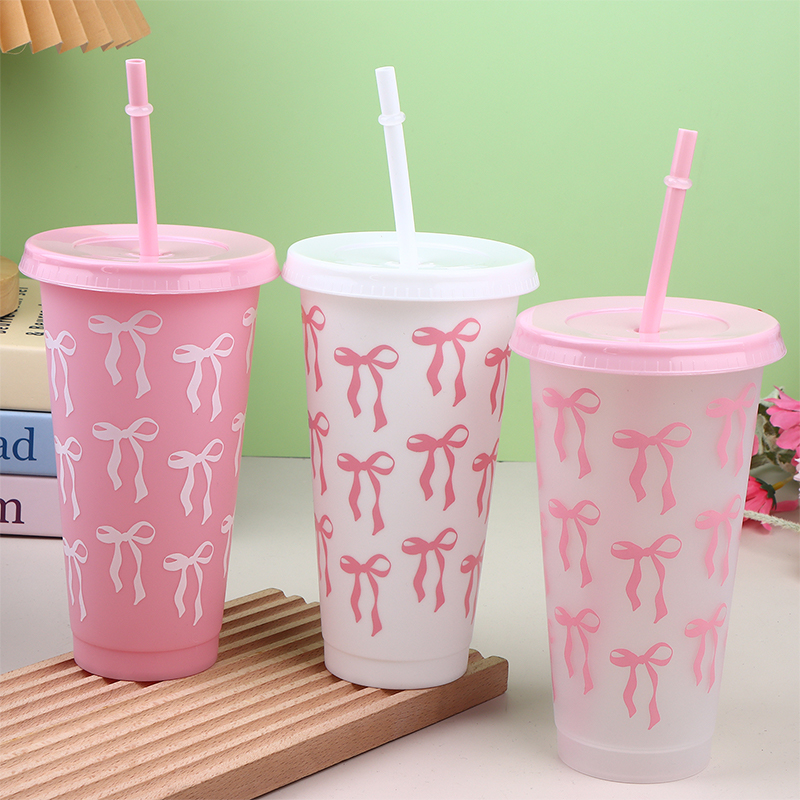 710ml Trinkbecher mit Strohhal – Coffee Tea Tumbler Bewertung und Preis