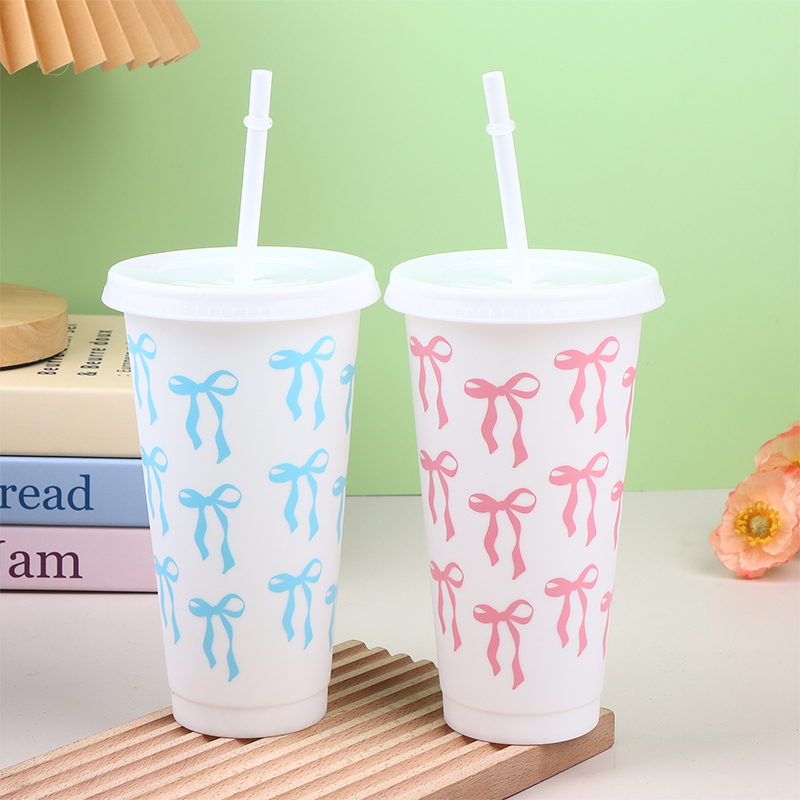 710ml Trinkbecher mit Strohhal – Coffee Tea Tumbler Bewertung und Preis